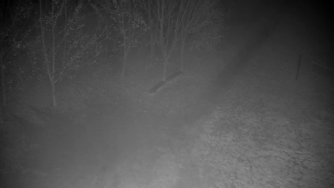 Webcam Ribnik Vrbje – Žalec