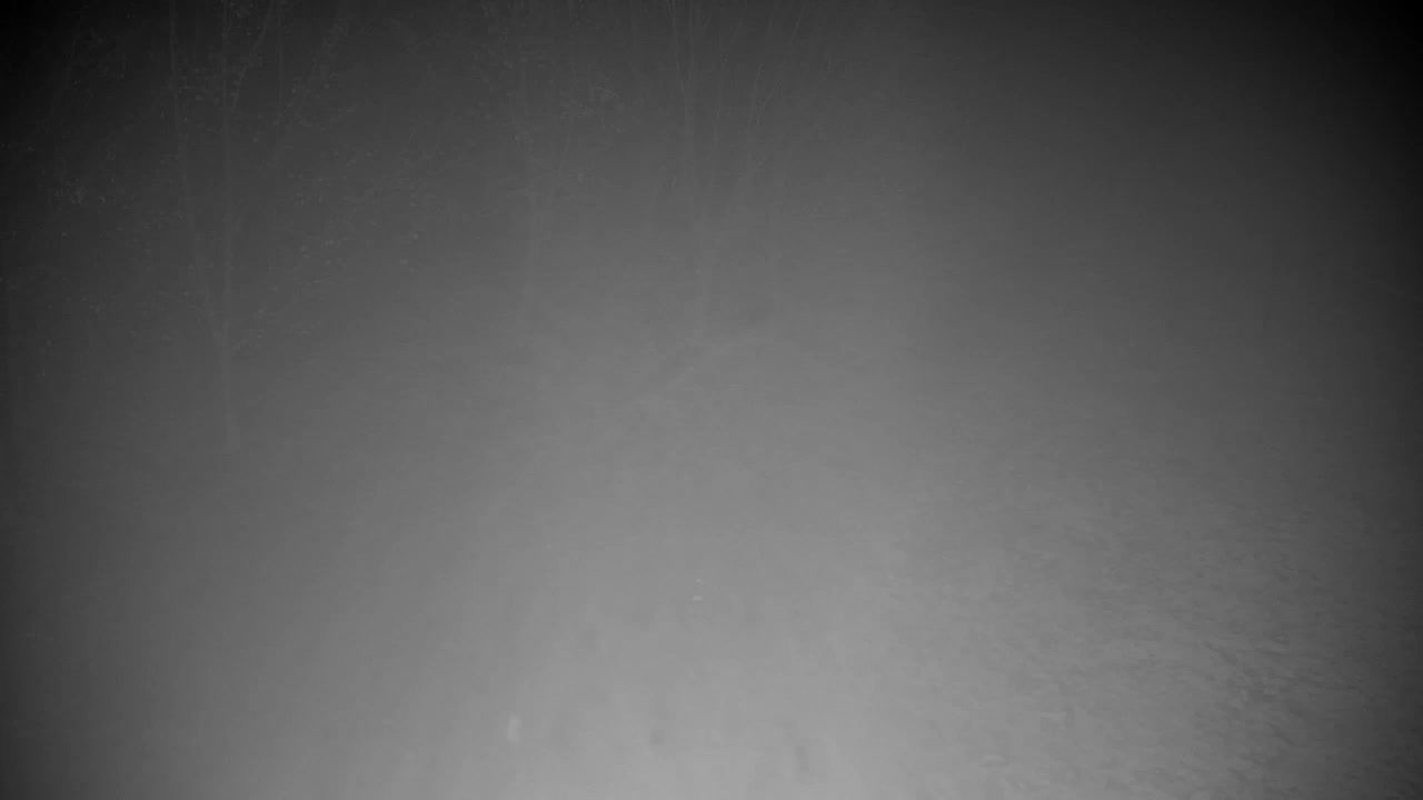 Webcam Ribnik Vrbje – Žalec