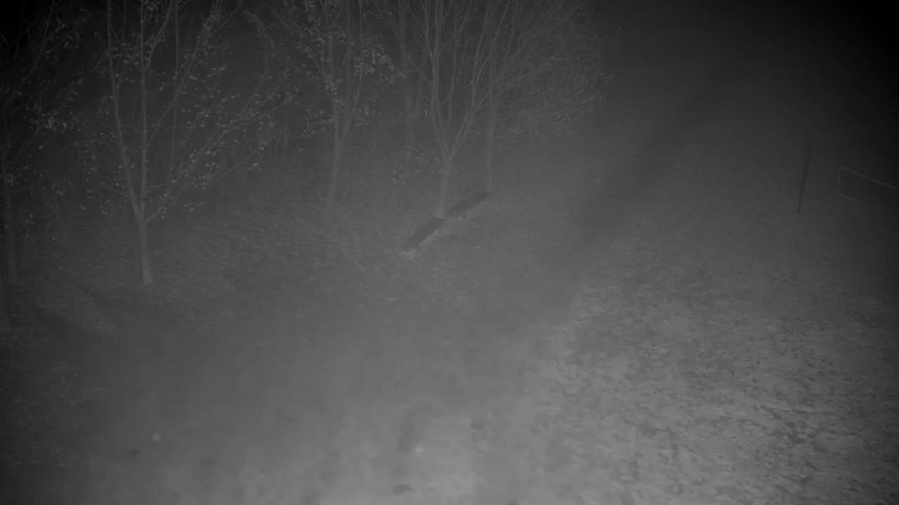 Webcam Ribnik Vrbje – Žalec