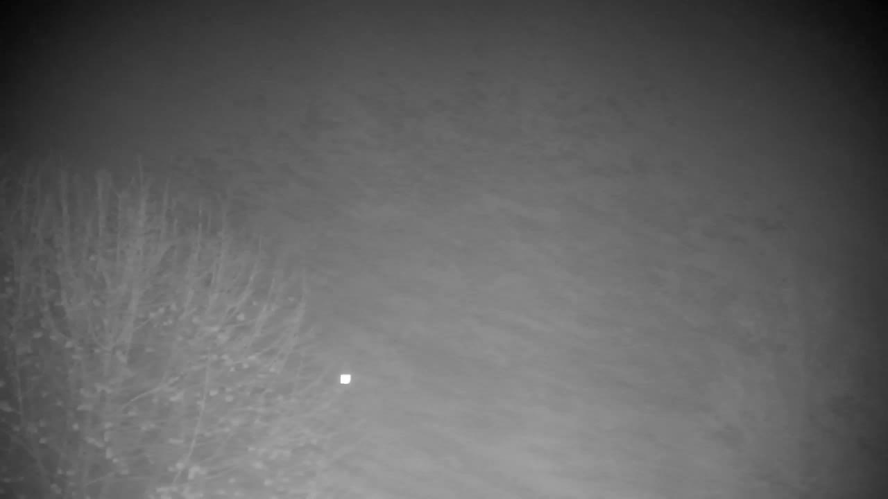 Webcam Ribnik Vrbje – Žalec