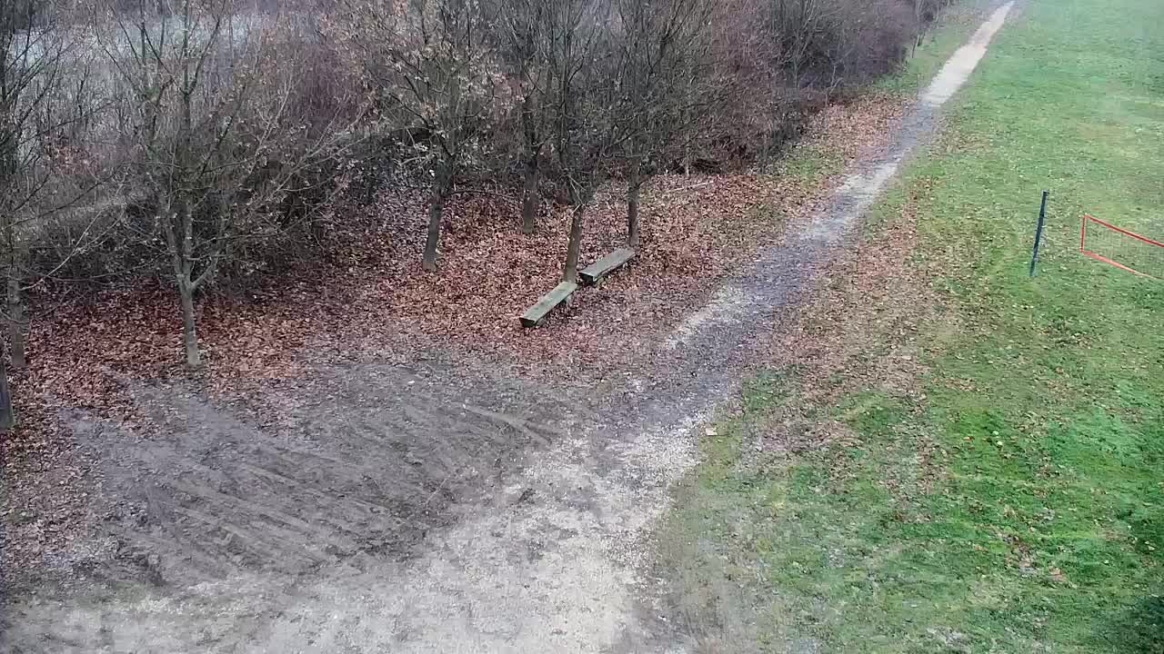 Webcam Ribnik Vrbje – Žalec