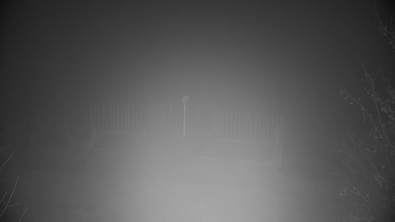 Webcam Ribnik Vrbje – Žalec