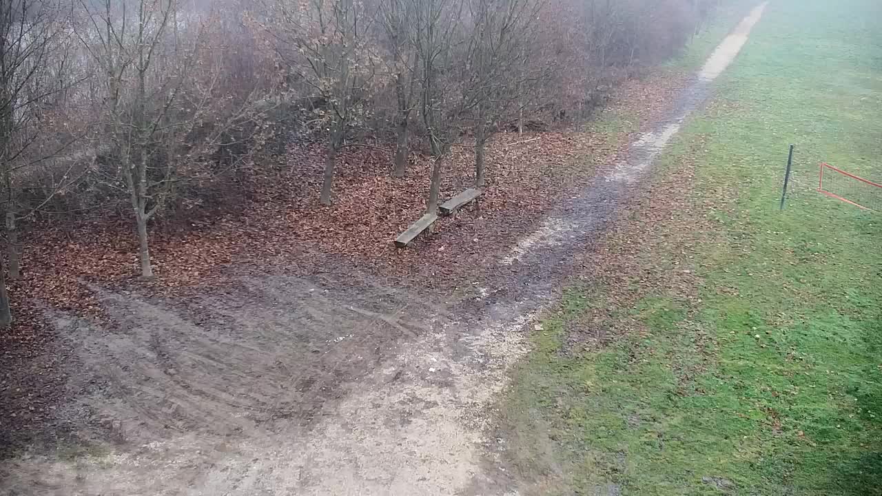 Web kamera Ribnik Vrbje – Žalec