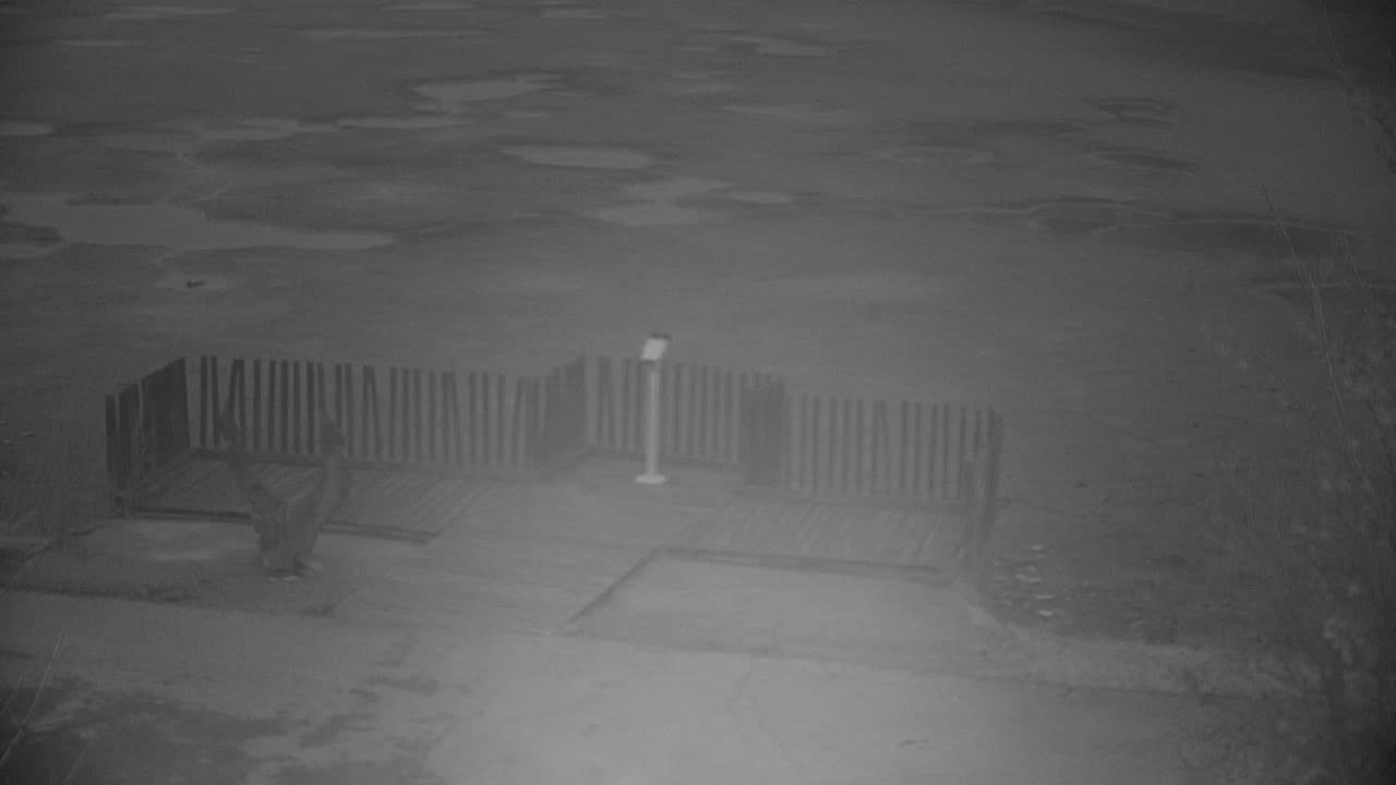 Webcam Ribnik Vrbje – Žalec