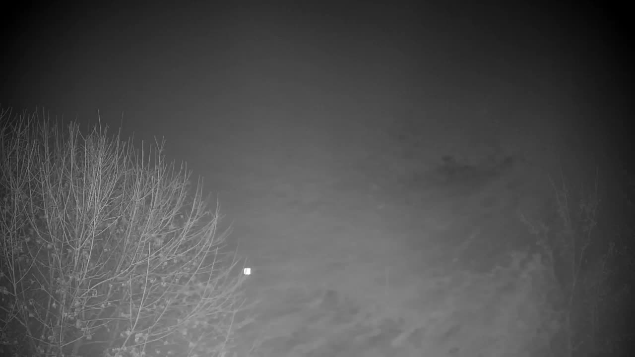 Webcam Ribnik Vrbje – Žalec