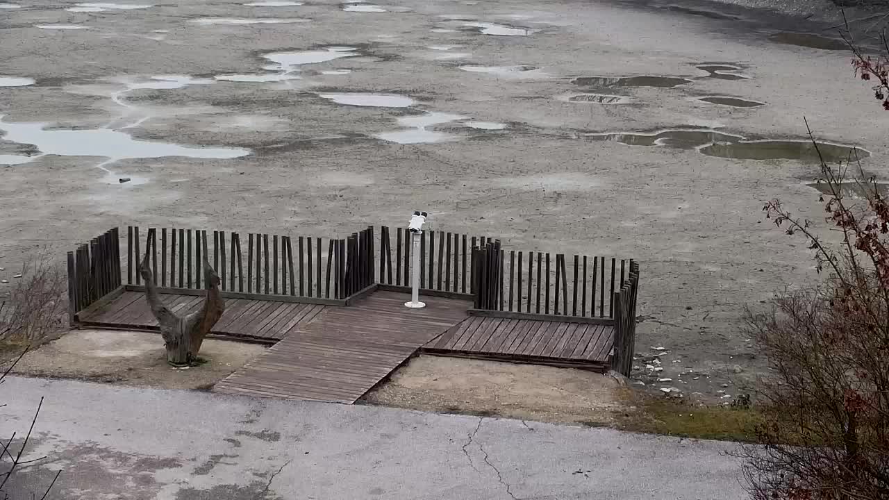 Webcam Ribnik Vrbje – Žalec