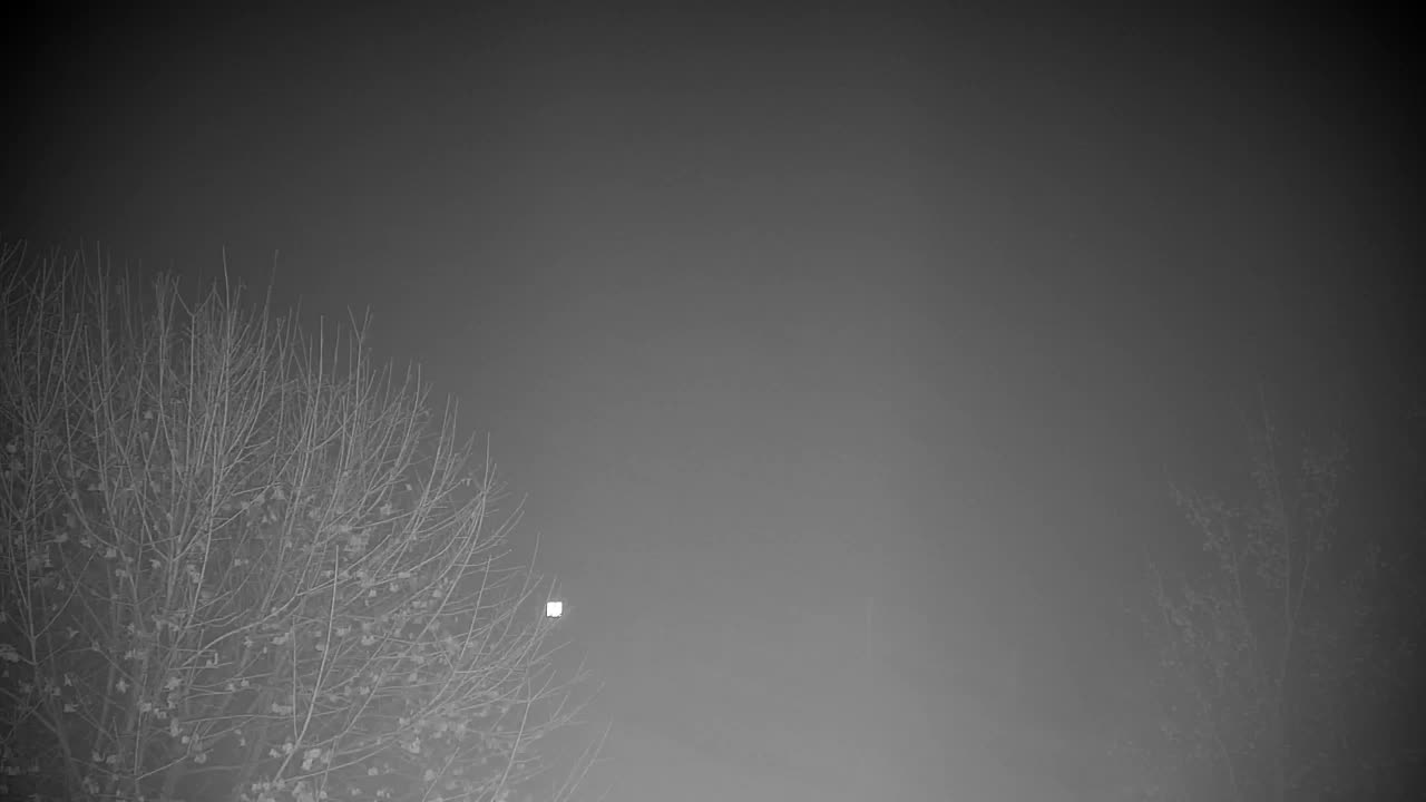 Web kamera Ribnik Vrbje – Žalec