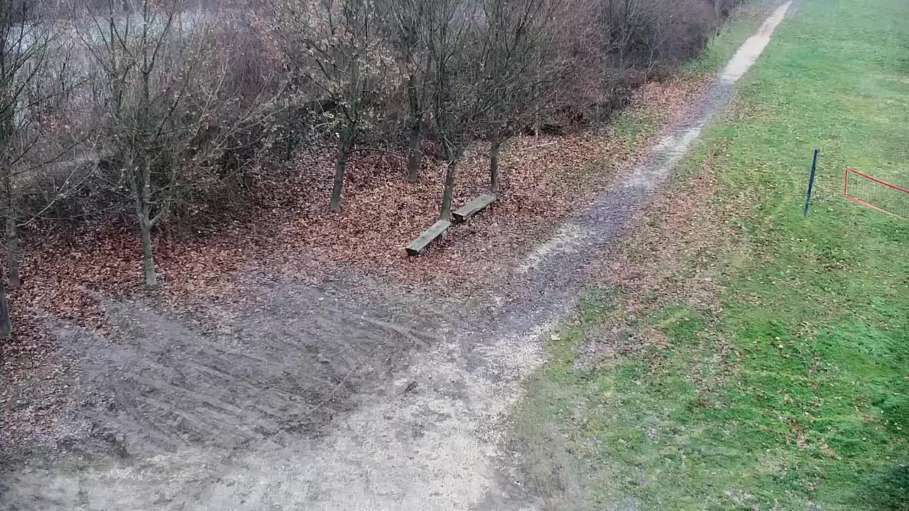 Web kamera Ribnik Vrbje – Žalec