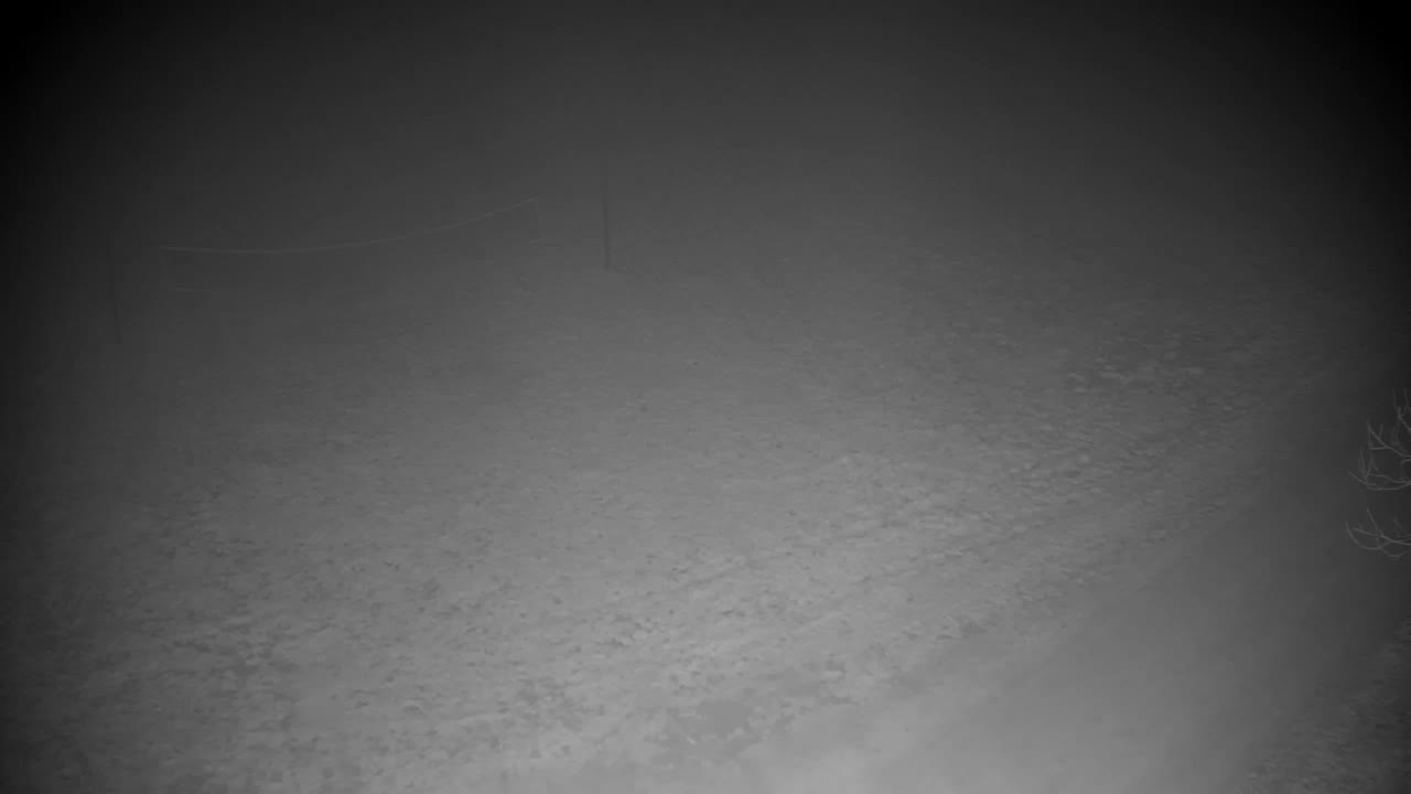 Webcam Ribnik Vrbje – Žalec