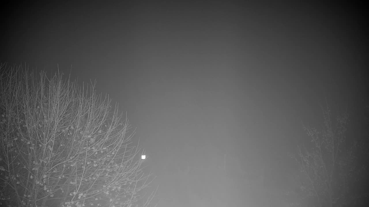 Webcam Ribnik Vrbje – Žalec