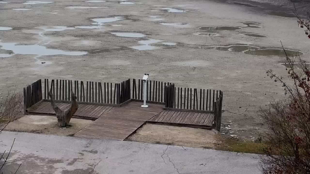 Webcam Ribnik Vrbje – Žalec