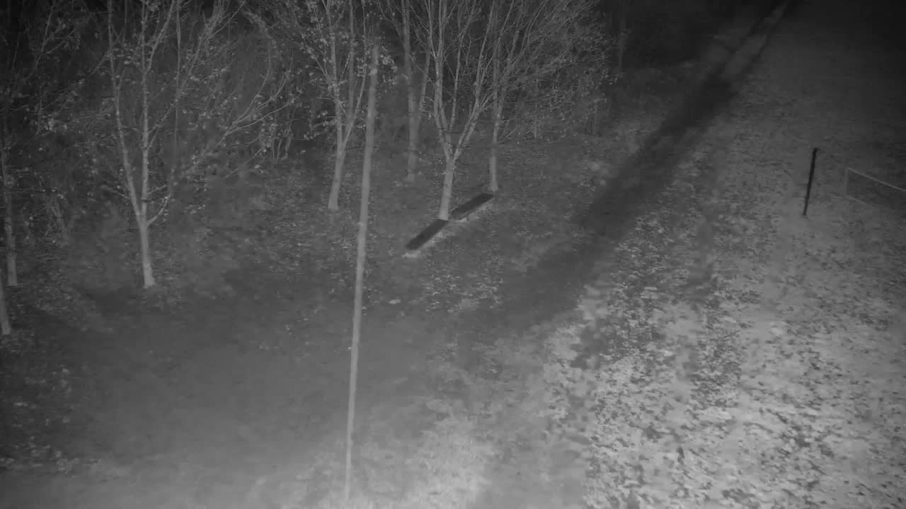 Webcam Ribnik Vrbje – Žalec