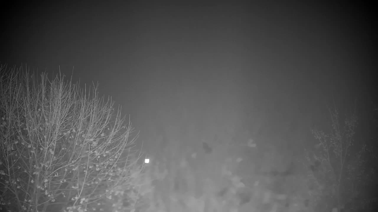 Web kamera Ribnik Vrbje – Žalec