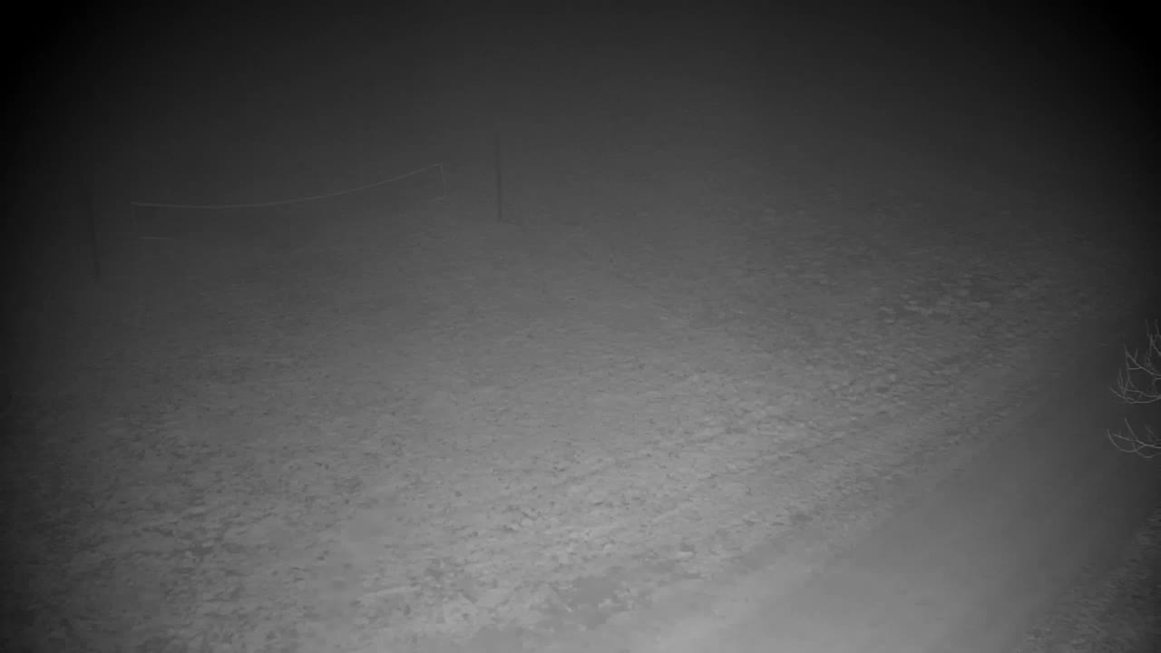 Webcam Ribnik Vrbje – Žalec