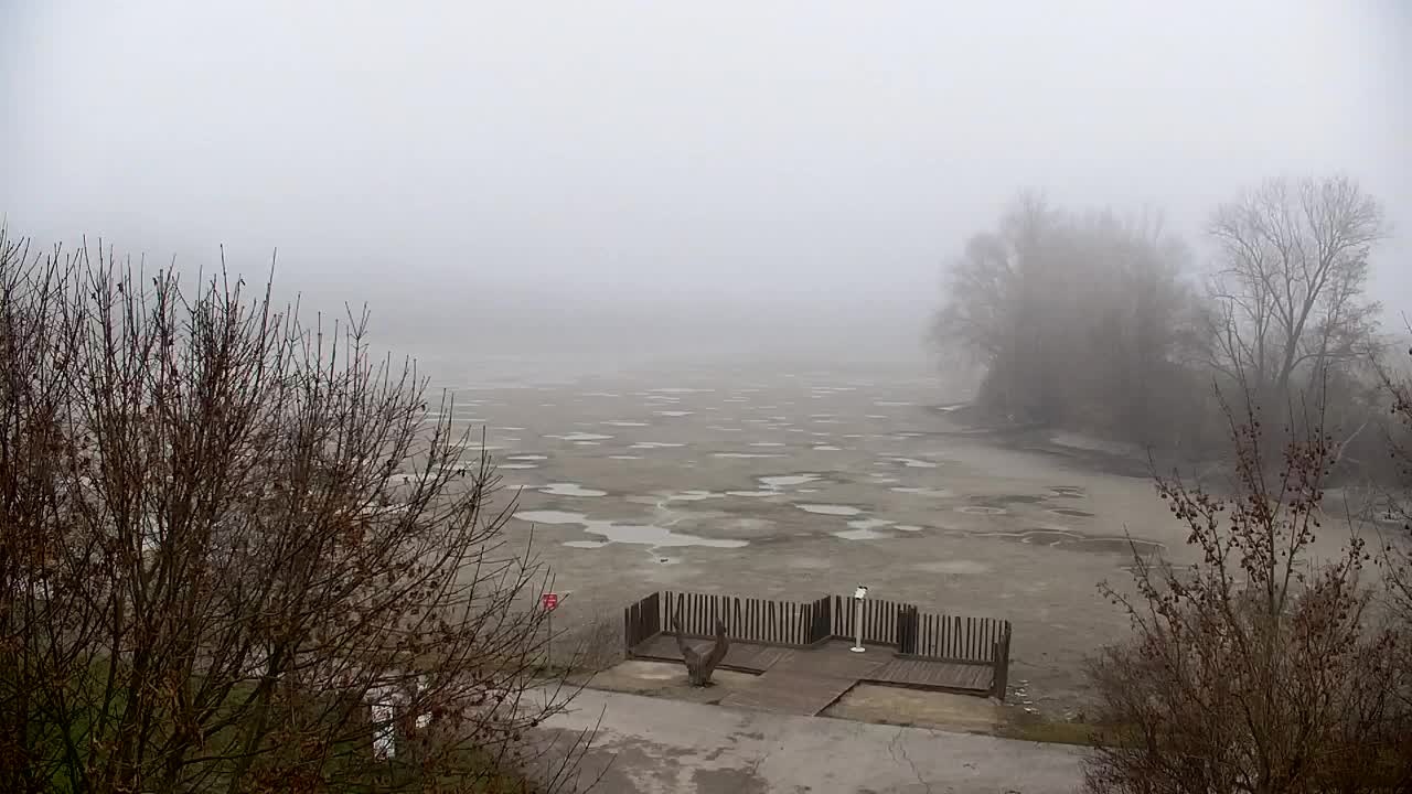 Webcam Ribnik Vrbje – Žalec