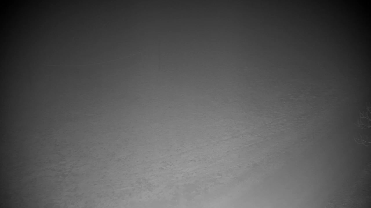 Webcam Ribnik Vrbje – Žalec