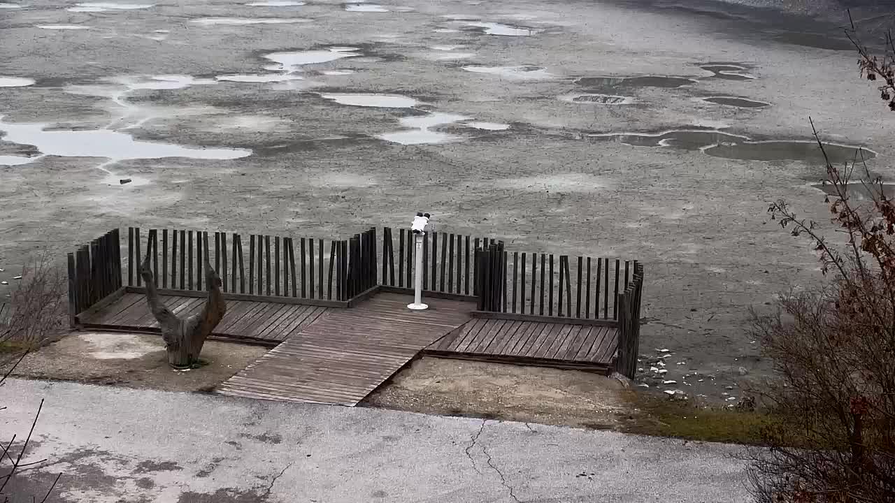 Spletna kamera Ribnik Vrbje – Žalec