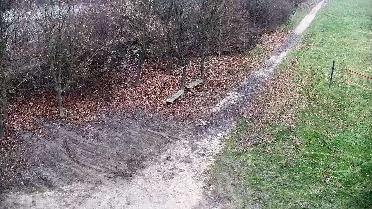 Spletna kamera Ribnik Vrbje – Žalec