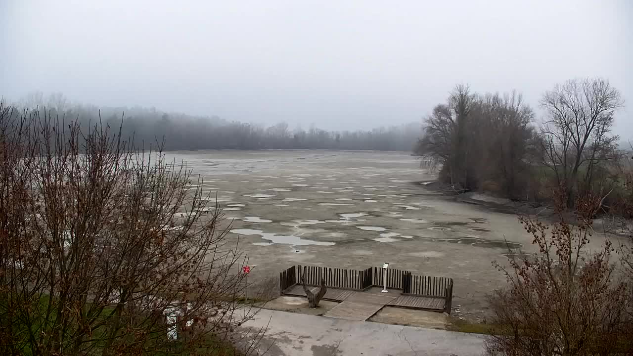 Spletna kamera Ribnik Vrbje – Žalec