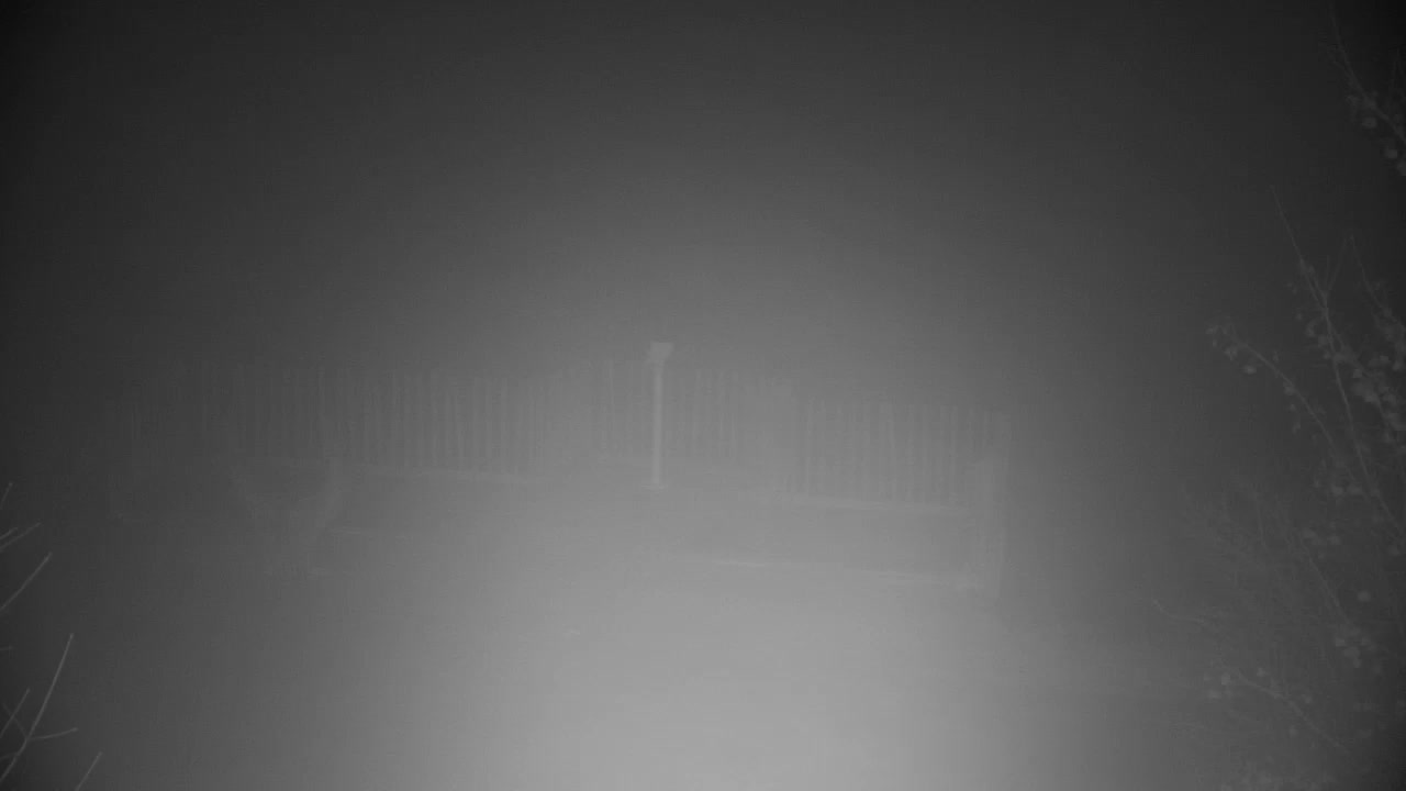 Web kamera Ribnik Vrbje – Žalec