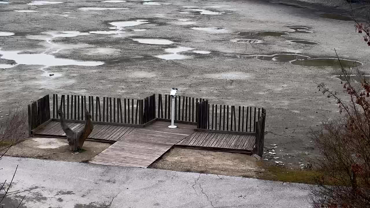 Webcam Ribnik Vrbje – Žalec