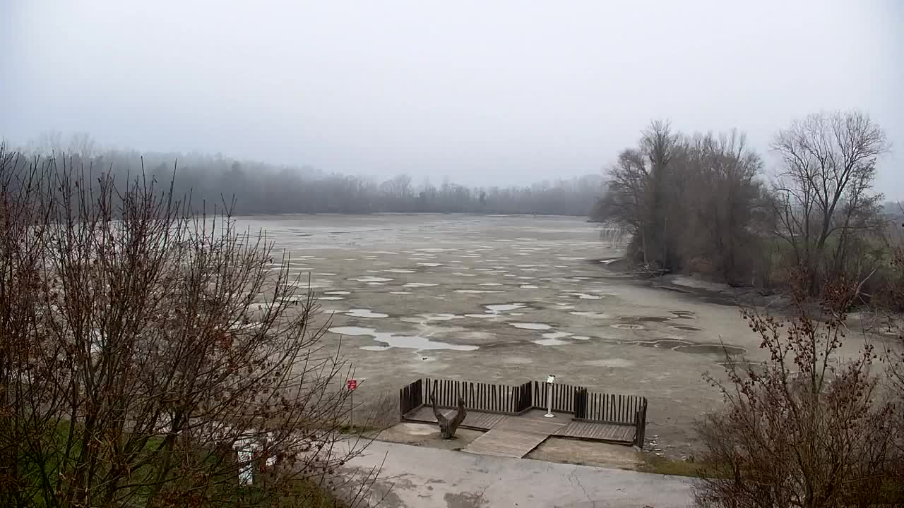 Webcam Ribnik Vrbje – Žalec