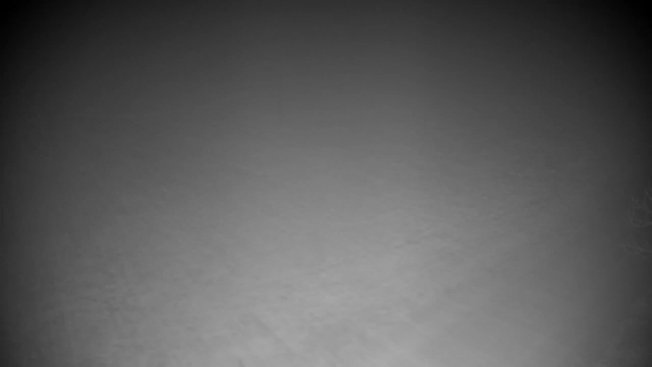 Webcam Ribnik Vrbje – Žalec