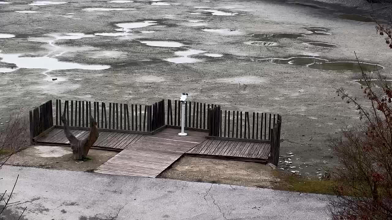 Webcam Ribnik Vrbje – Žalec