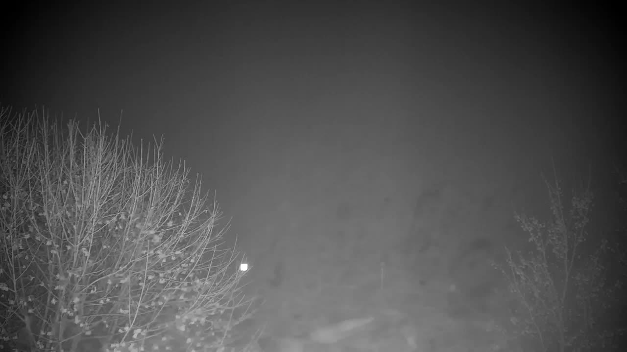 Webcam Ribnik Vrbje – Žalec