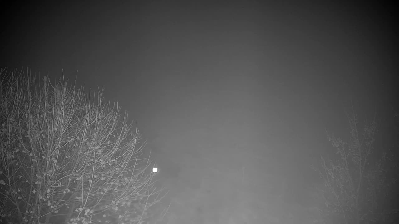 Spletna kamera Ribnik Vrbje – Žalec