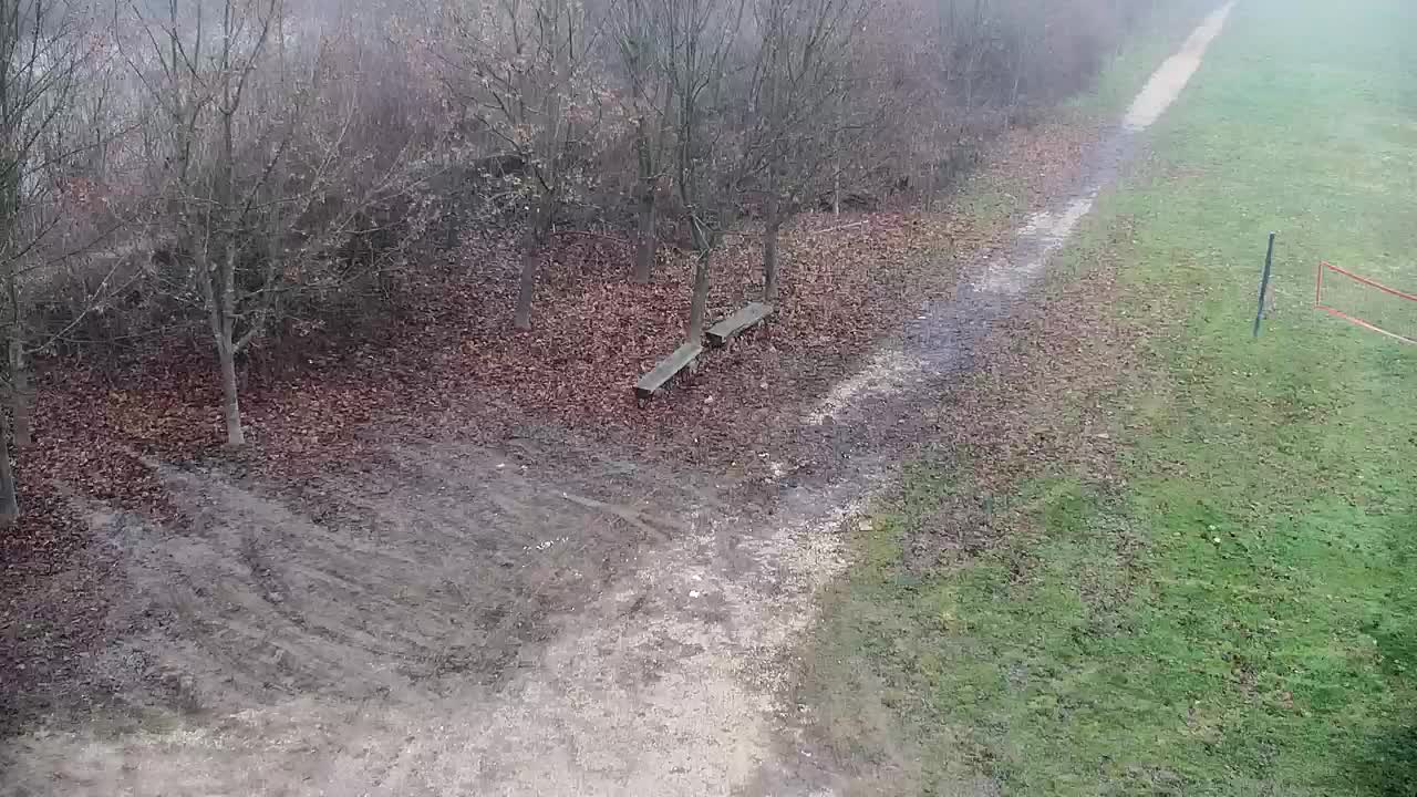 Spletna kamera Ribnik Vrbje – Žalec