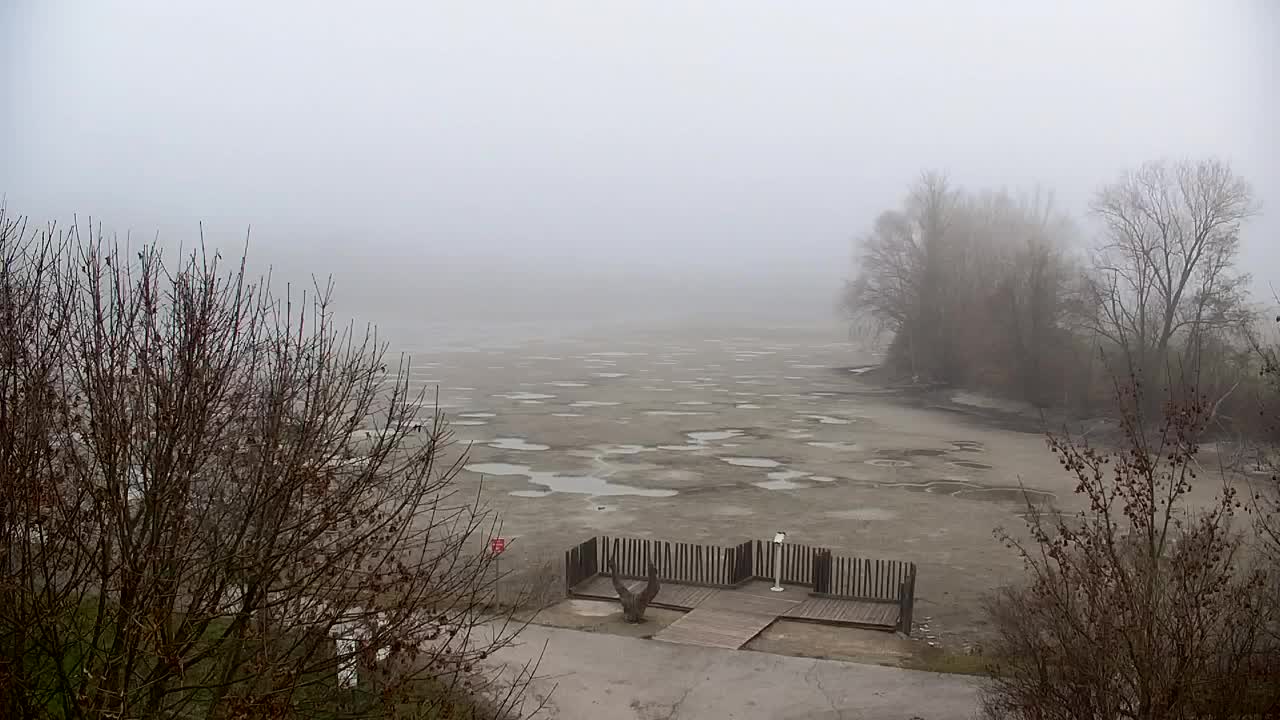 Webcam Ribnik Vrbje – Žalec