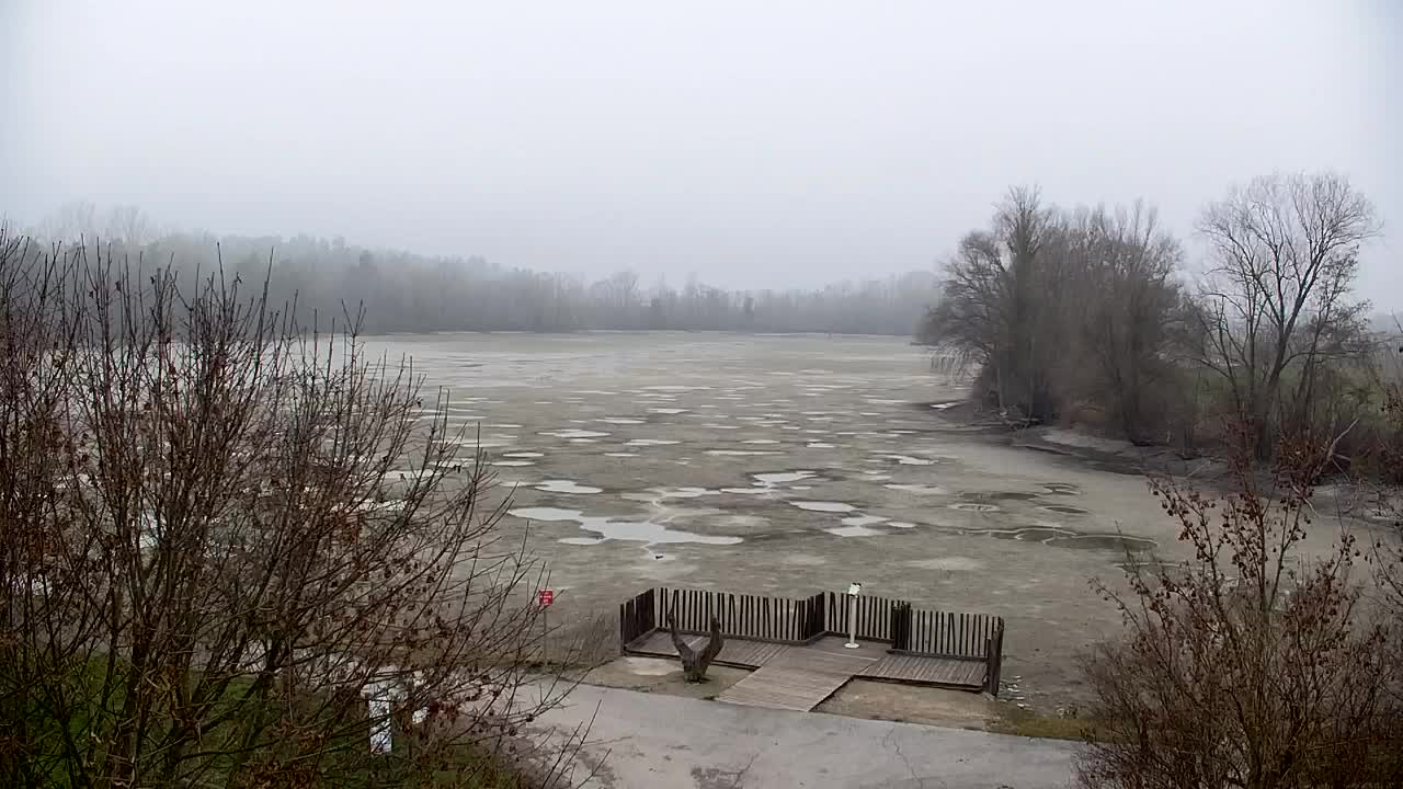 Webcam Ribnik Vrbje – Žalec