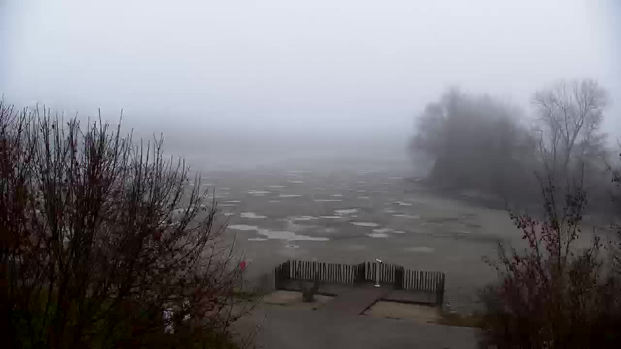 Spletna kamera Ribnik Vrbje – Žalec