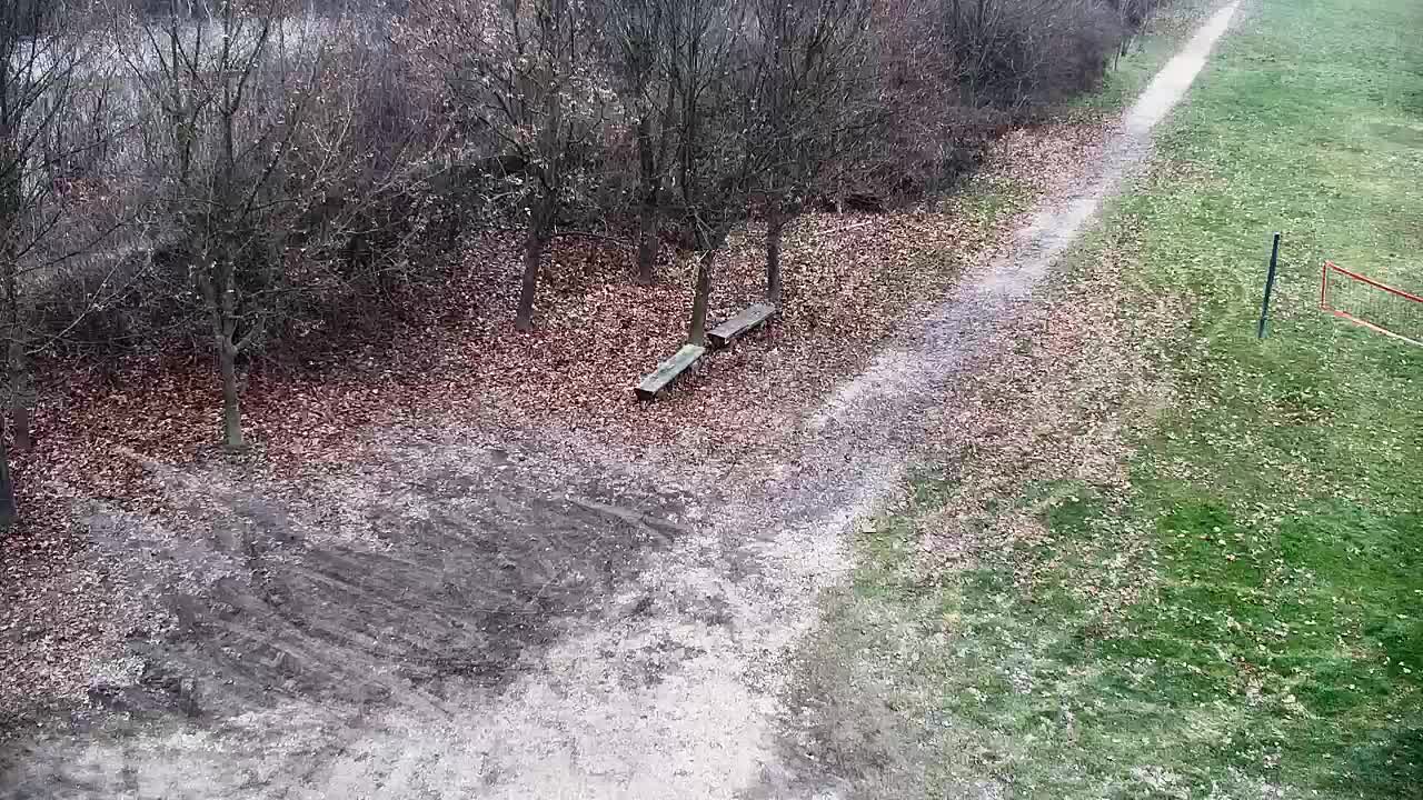 Web kamera Ribnik Vrbje – Žalec