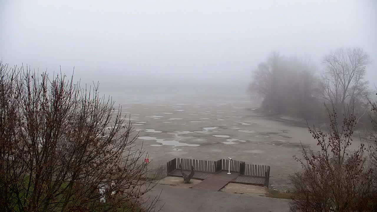 Webcam Ribnik Vrbje – Žalec