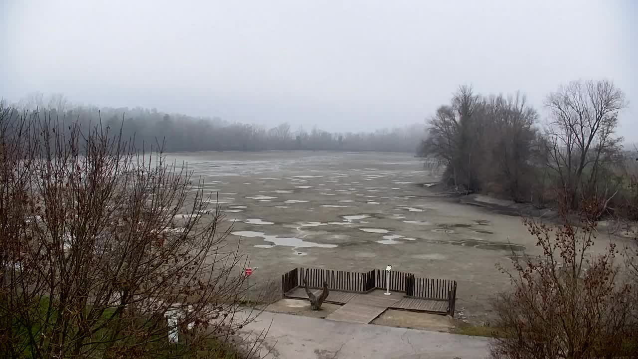 Webcam Ribnik Vrbje – Žalec