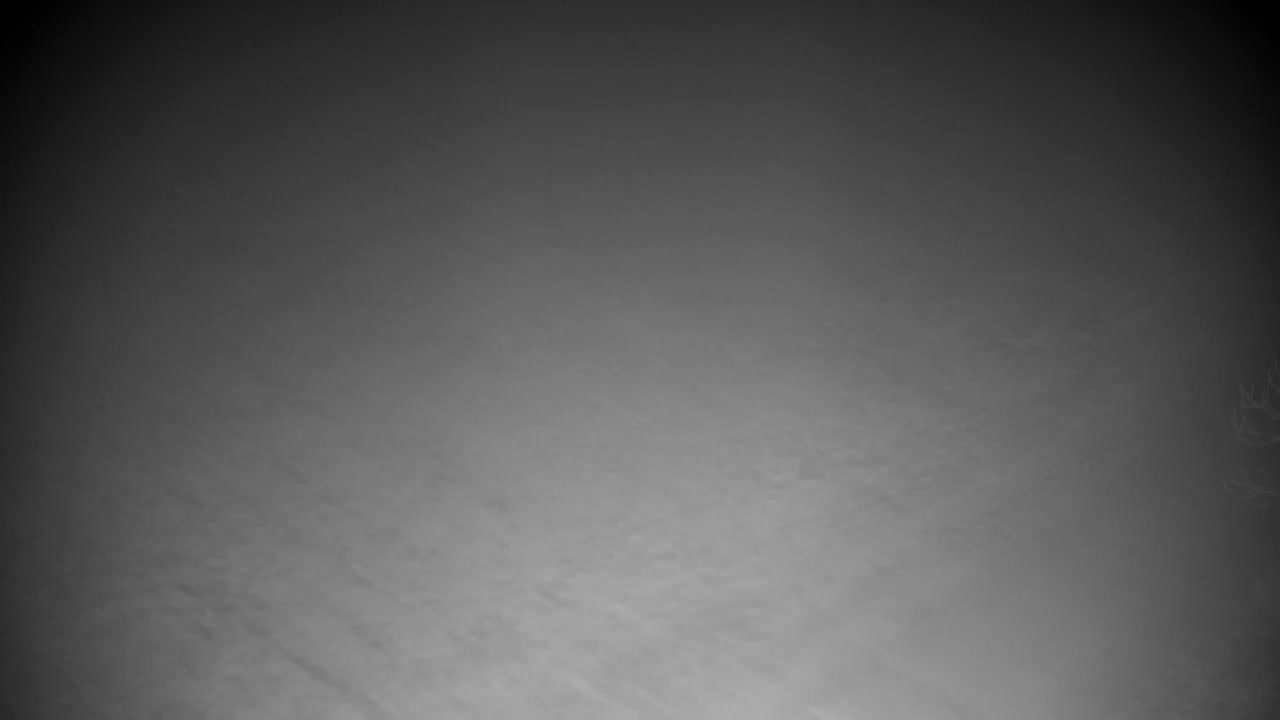 Webcam Ribnik Vrbje – Žalec