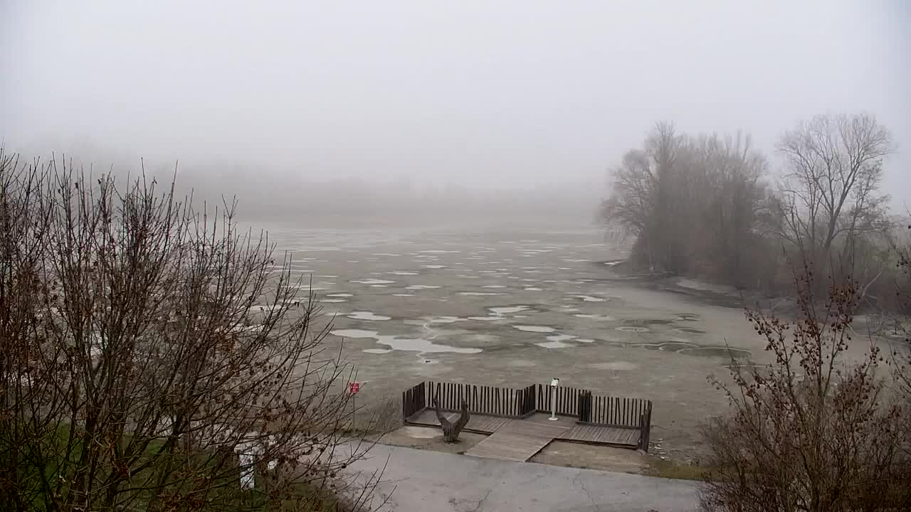 Spletna kamera Ribnik Vrbje – Žalec