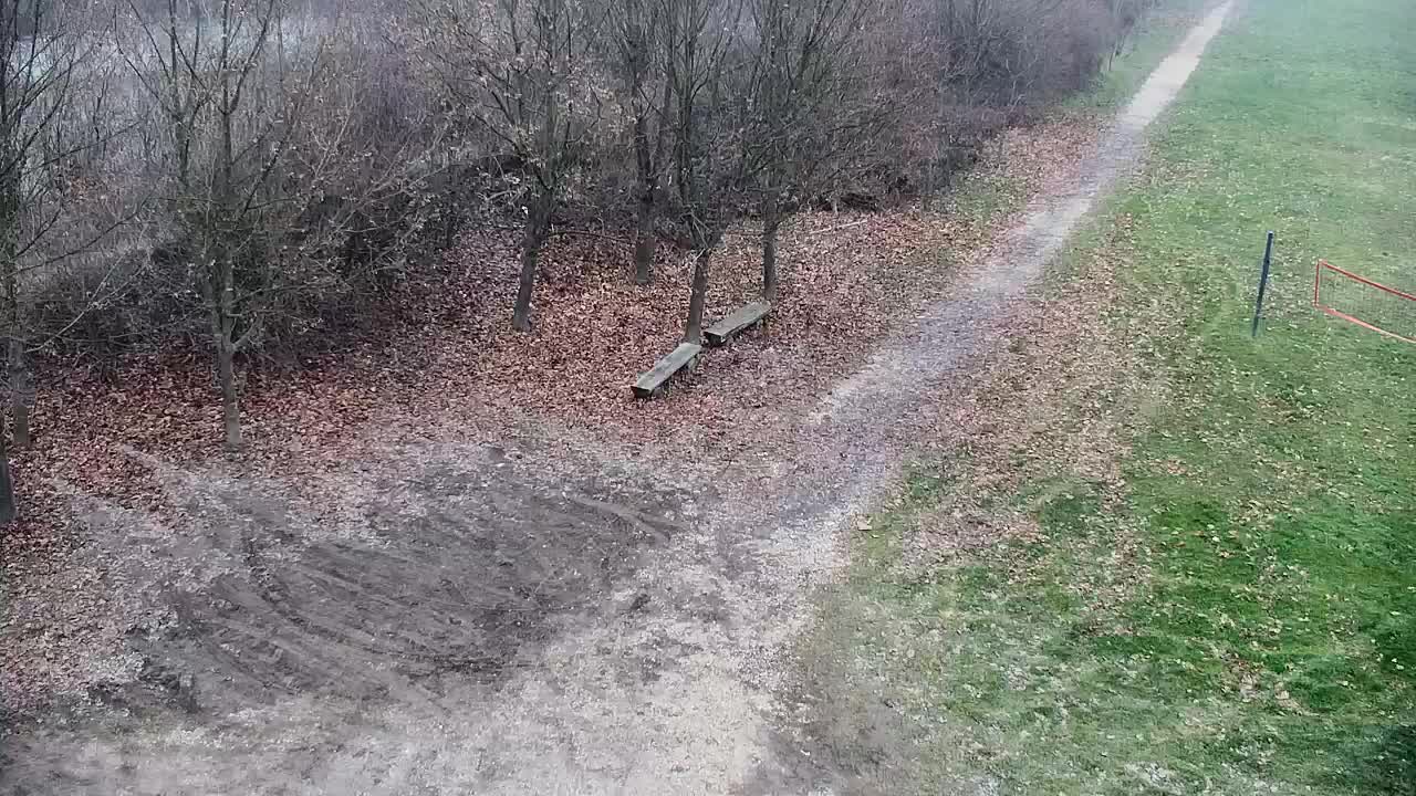 Spletna kamera Ribnik Vrbje – Žalec