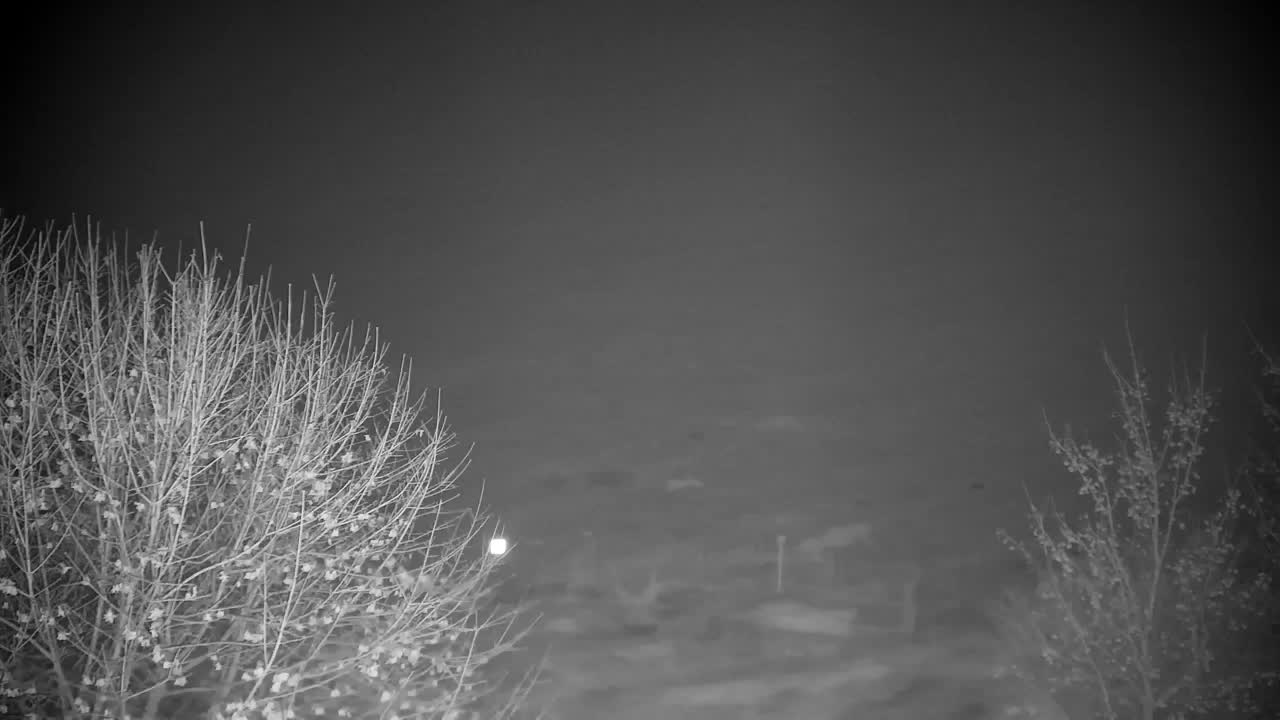 Webcam Ribnik Vrbje – Žalec