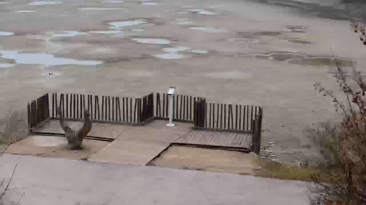 Webcam Ribnik Vrbje – Žalec