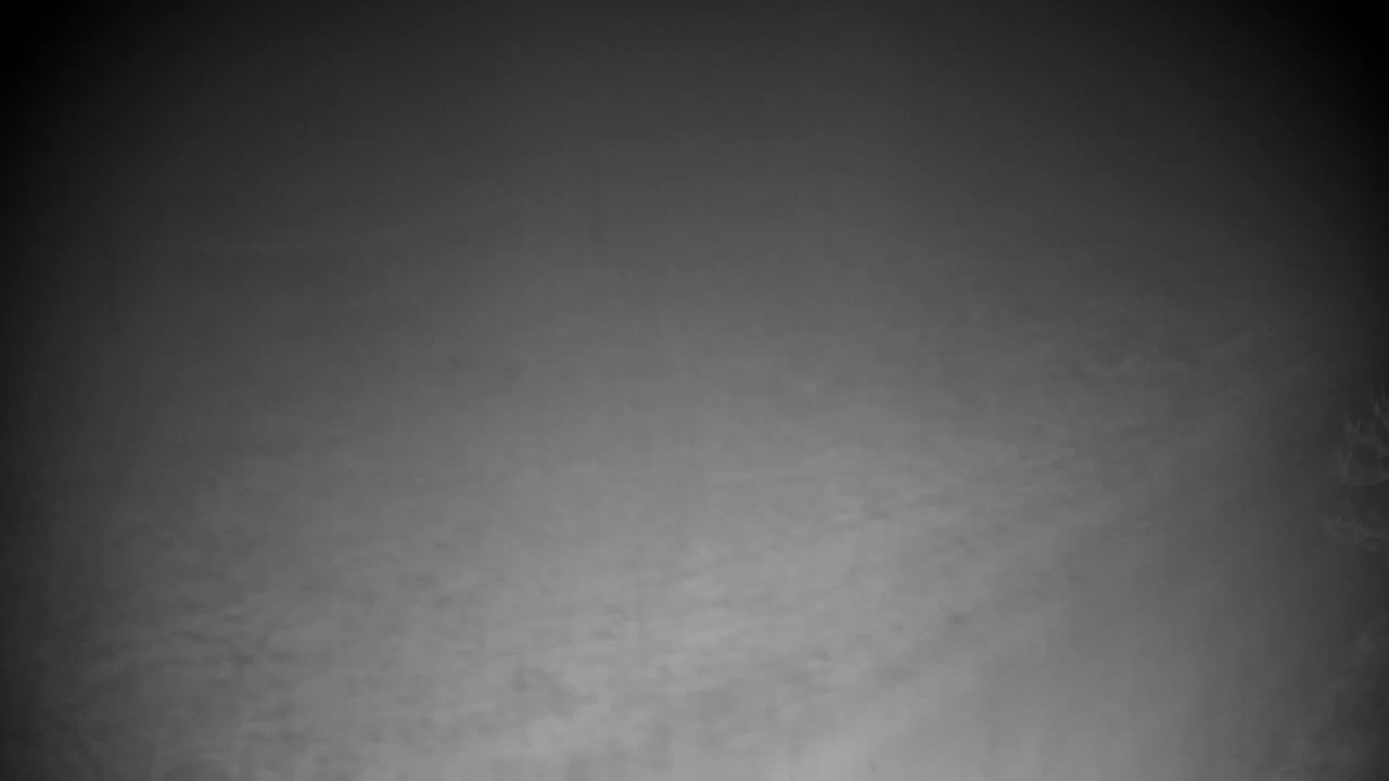 Web kamera Ribnik Vrbje – Žalec