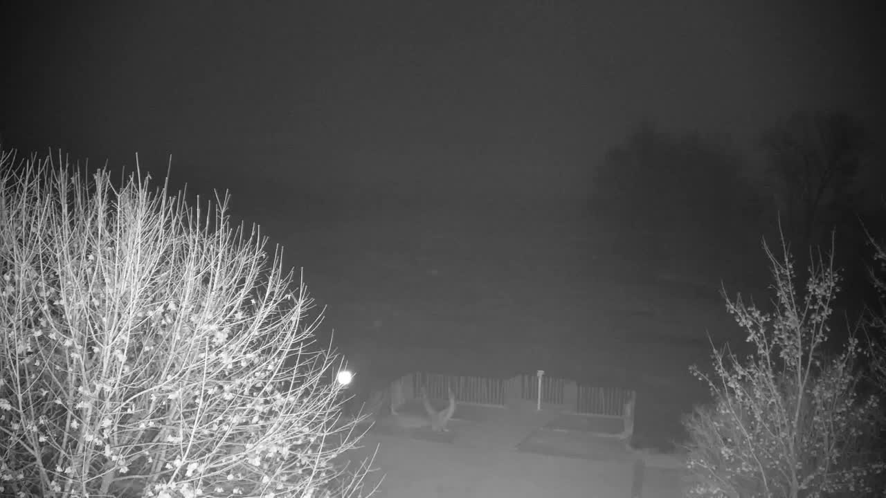 Webcam Ribnik Vrbje – Žalec