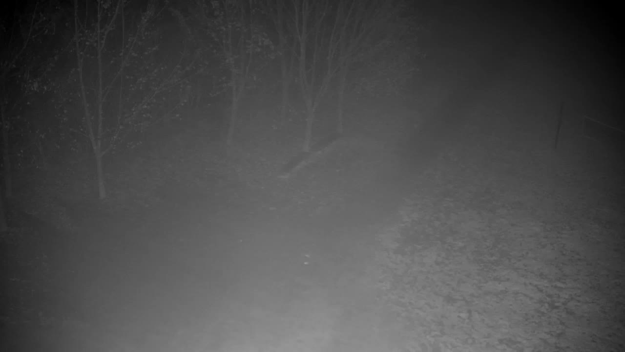 Webcam Ribnik Vrbje – Žalec