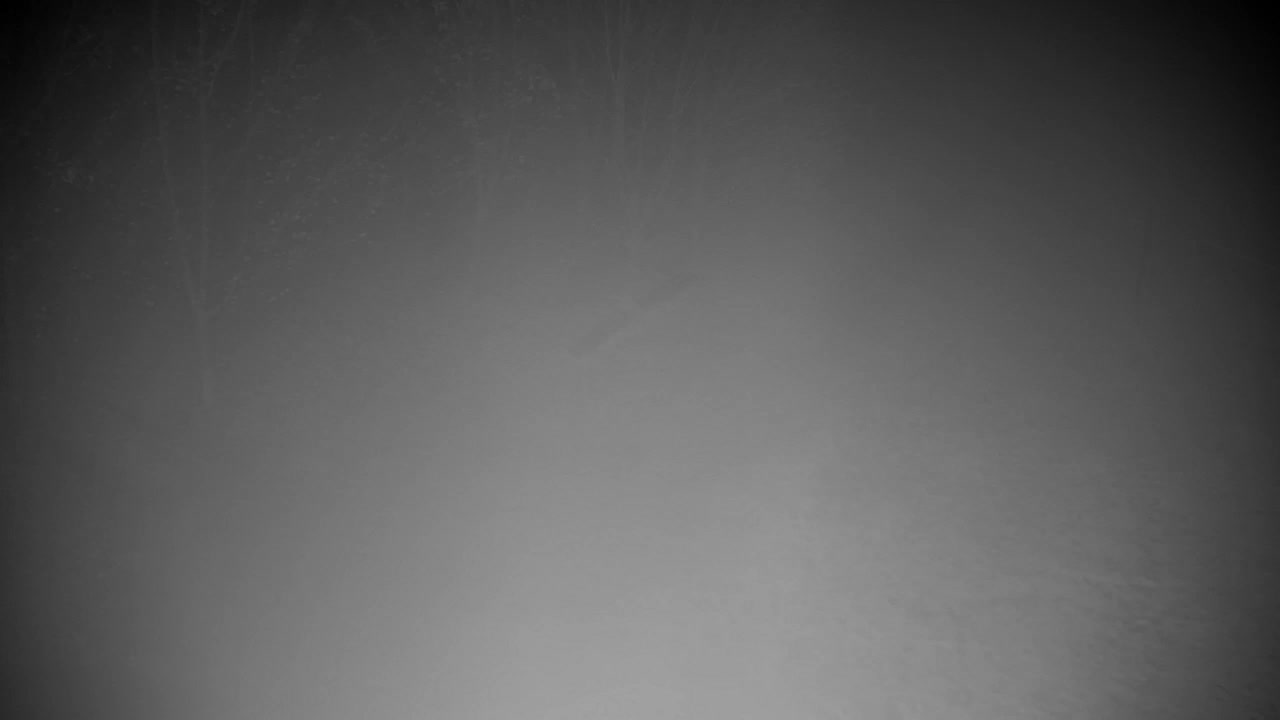 Webcam Ribnik Vrbje – Žalec