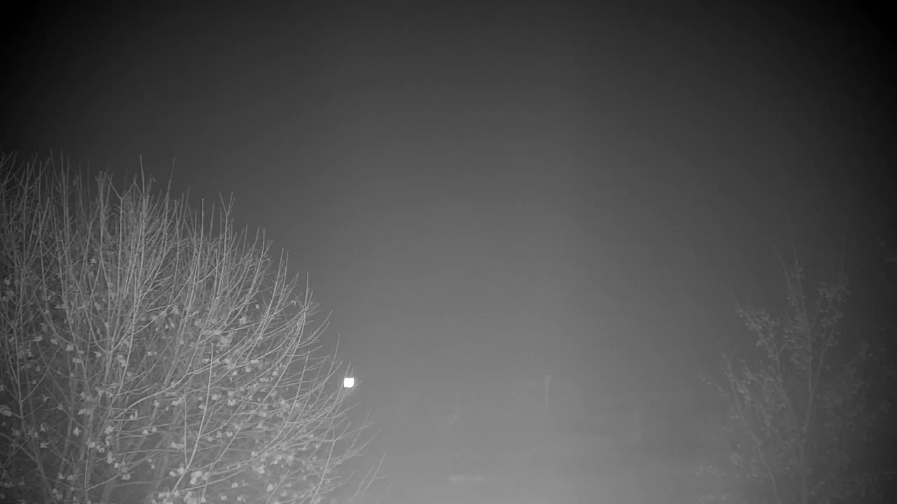 Webcam Ribnik Vrbje – Žalec