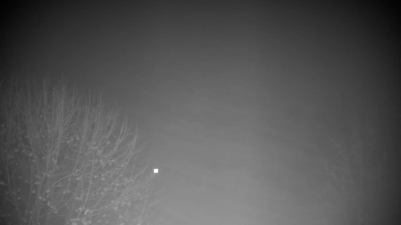 Webcam Ribnik Vrbje – Žalec