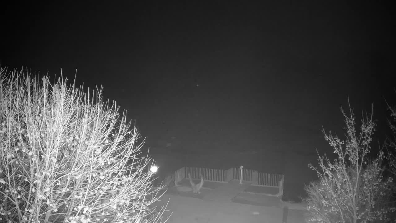 Webcam Ribnik Vrbje – Žalec