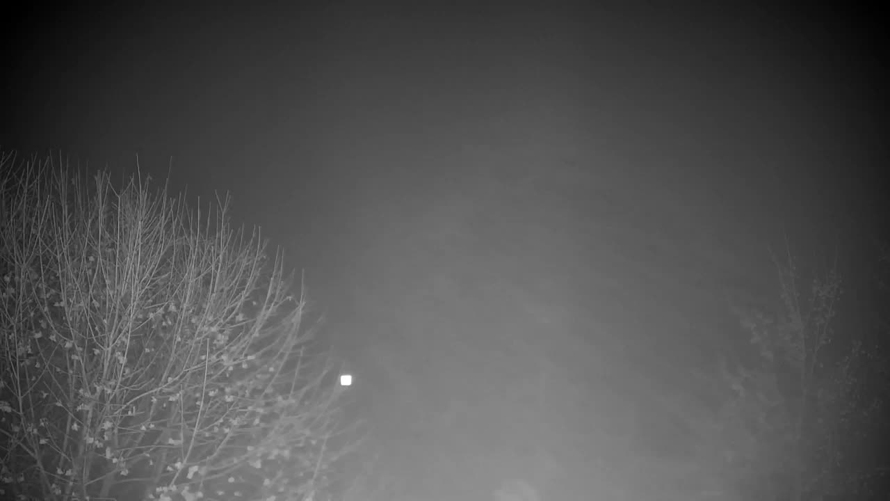 Webcam Ribnik Vrbje – Žalec